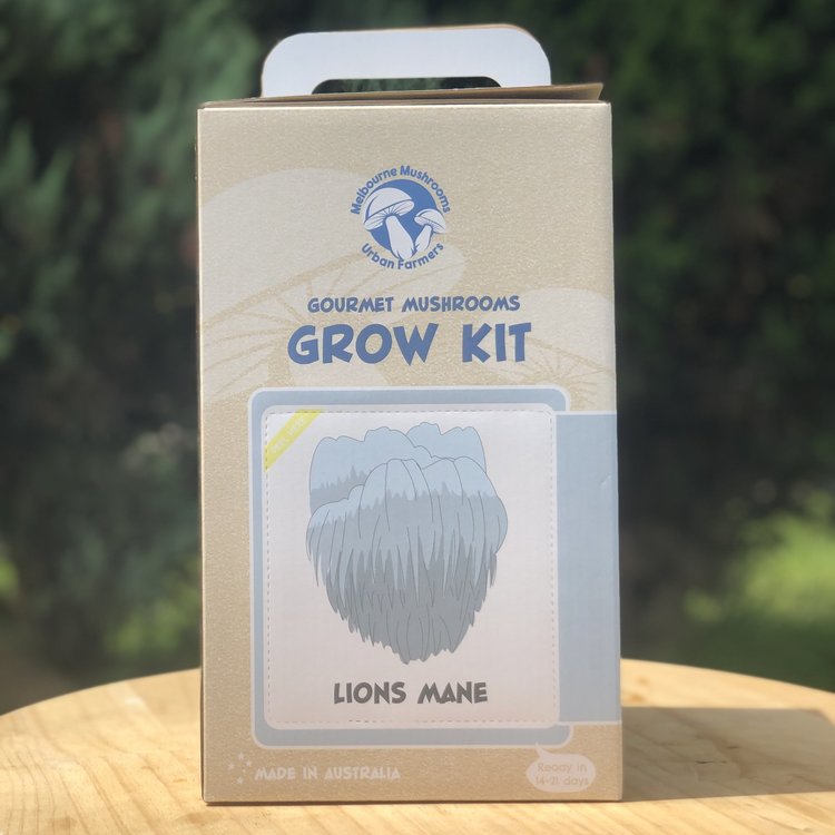 Lion's Mane grow kit on a table