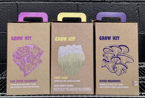 Mushroom Grow Kits