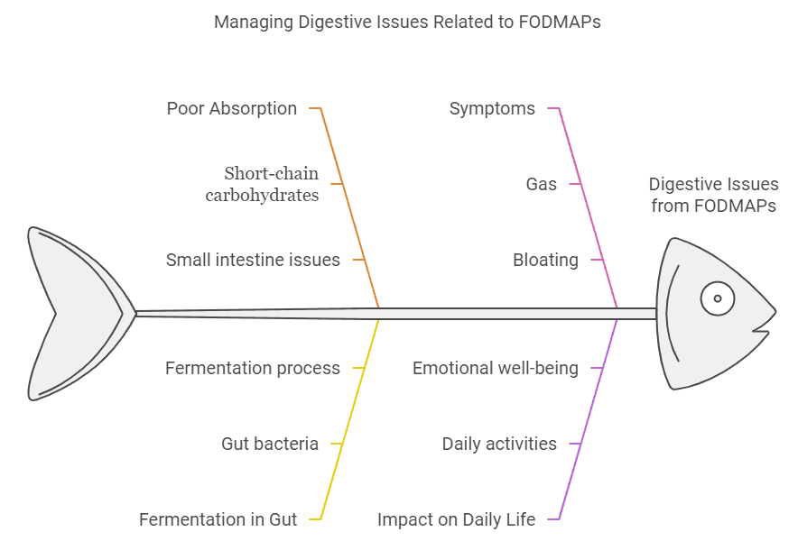 Managing Digestive Issues Related to FODMAPs - Poor Absorbtion, Symptoms