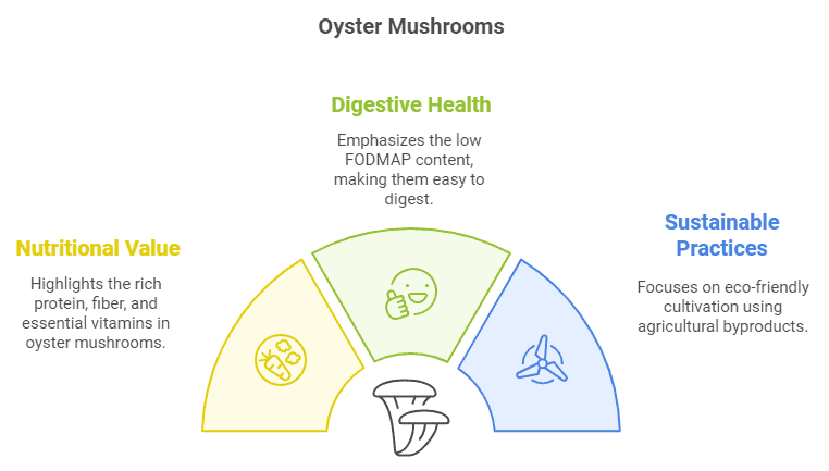 Key Benefits of Oyster Mushrooms - Nutrtional Value, Digestive Health, Sustainable Practices